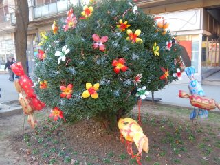 Ukrasavanje Grada (16)