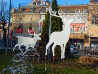 Ukrasavanje Grada (2)