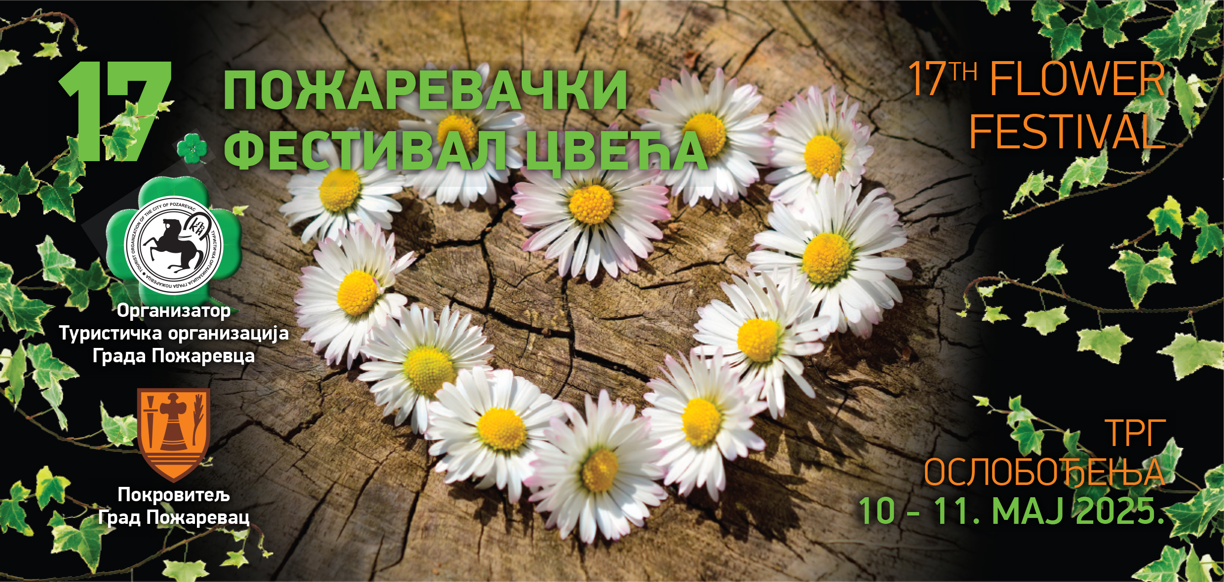 Festival cveca 2025 low