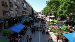 Vlcsnap 2025 05 10 12h34m28s695