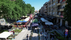 Vlcsnap 2025 05 10 12h34m52s135