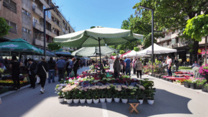 Vlcsnap 2025 05 10 12h35m50s704