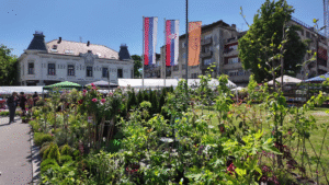 Vlcsnap 2025 05 10 12h36m20s339