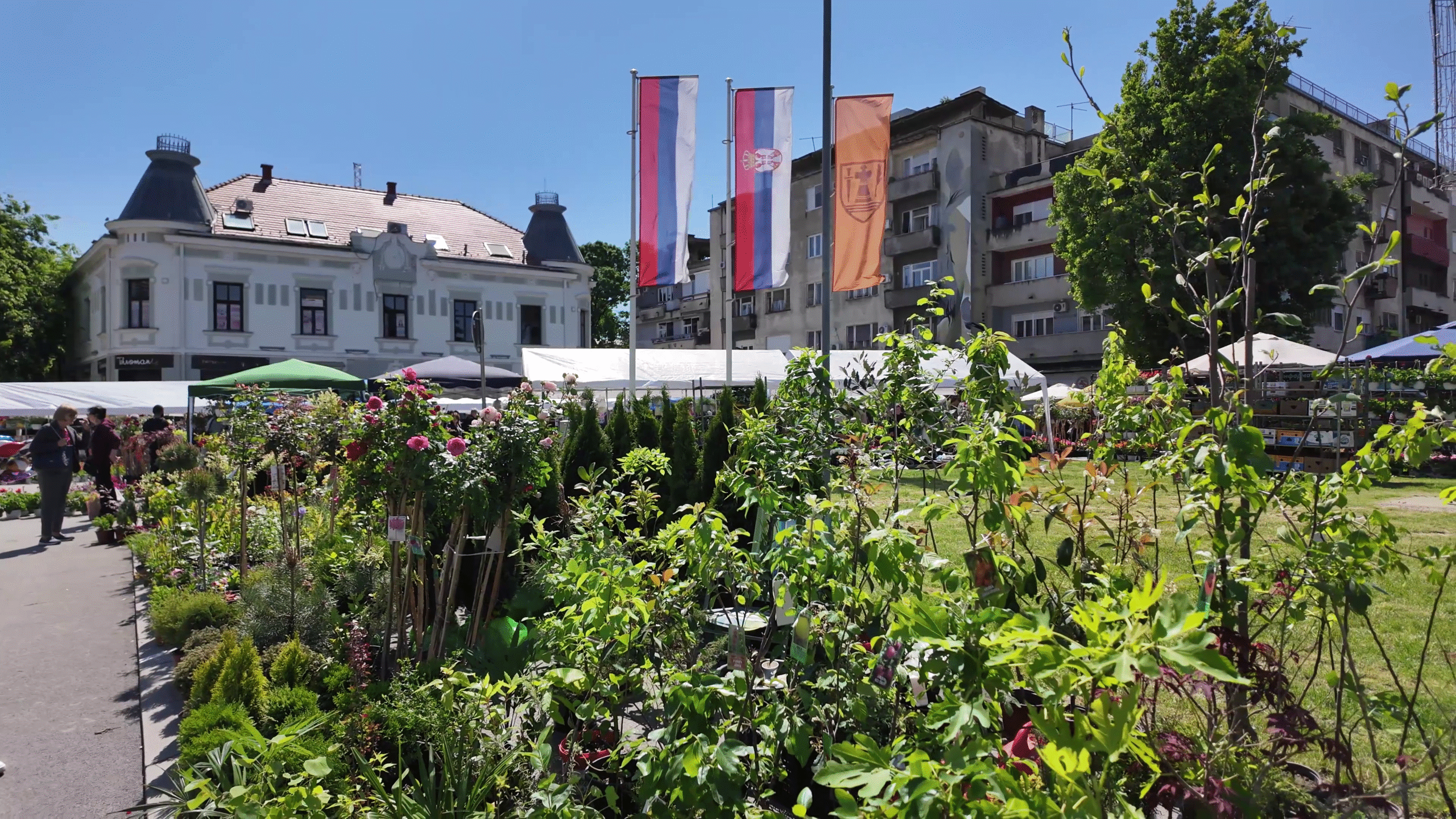 Vlcsnap 2025 05 10 12h36m20s339