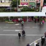 Festival cveca 2026 (7)